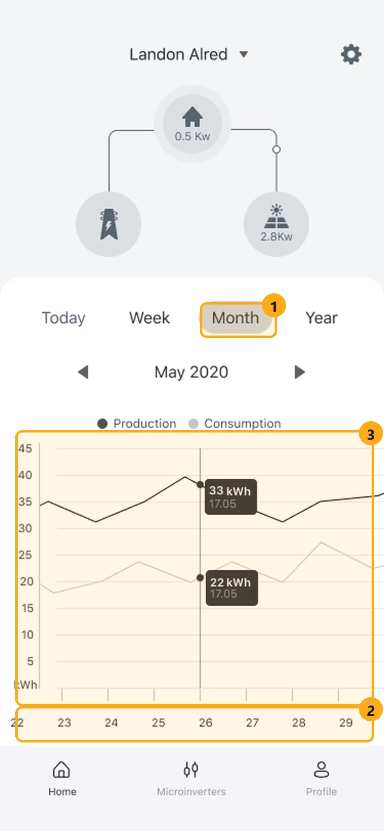 Our 2021 month view with the Month tab, the axis and the line chart marked