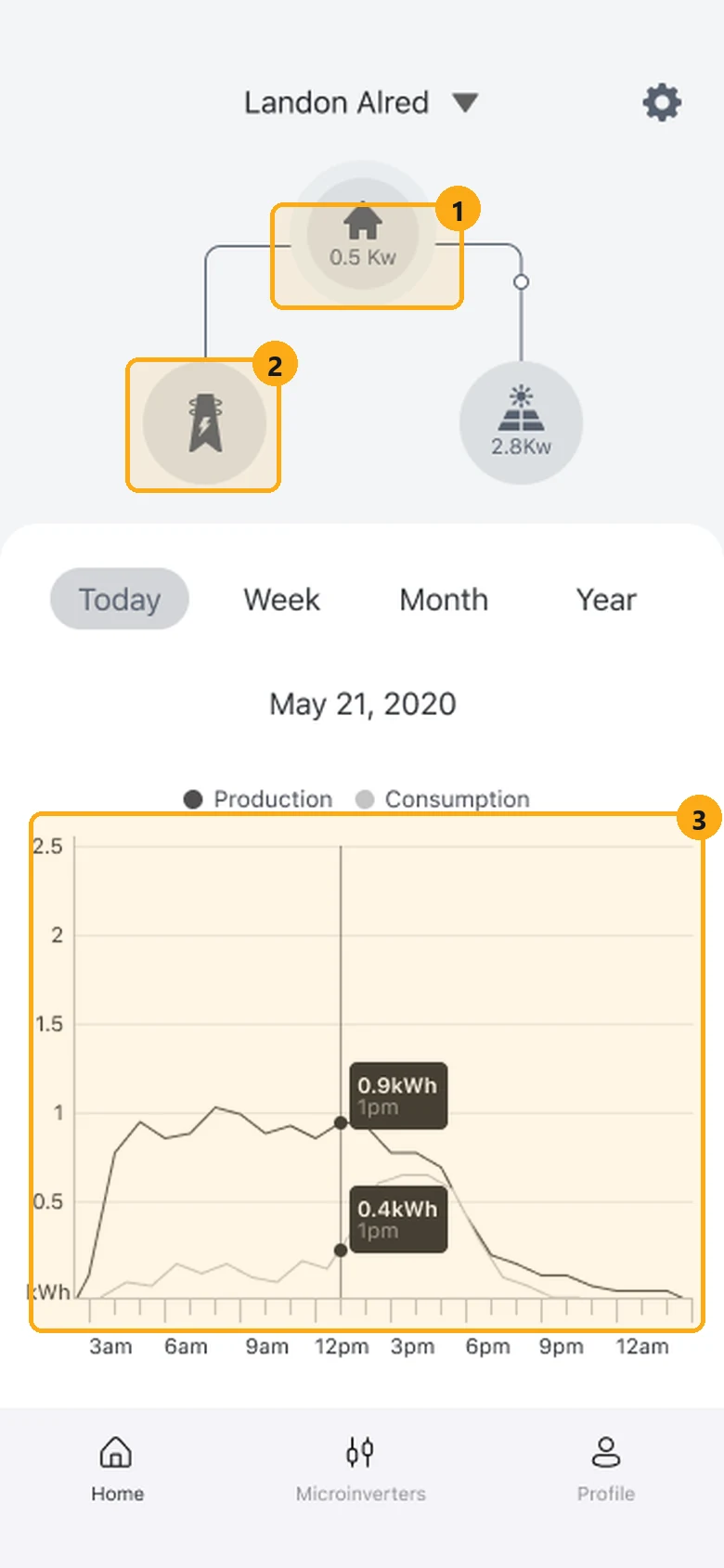 Our 2021 home screen with the house label, the grid node and the chart marked