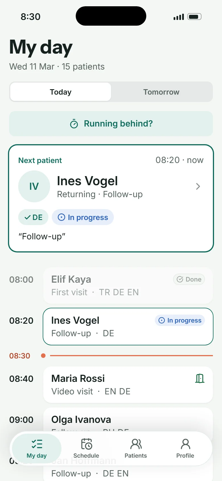 My day: next patient Ines Vogel with languages and reason, then the timeline